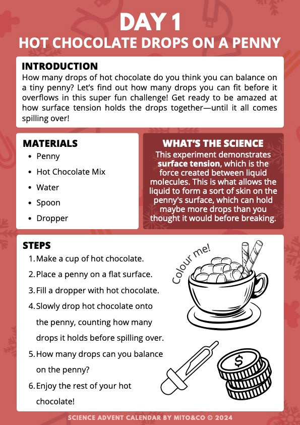 Science Advent Calendar (24 days of Activites)