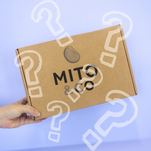 MITO Mystery (Surprise Science)