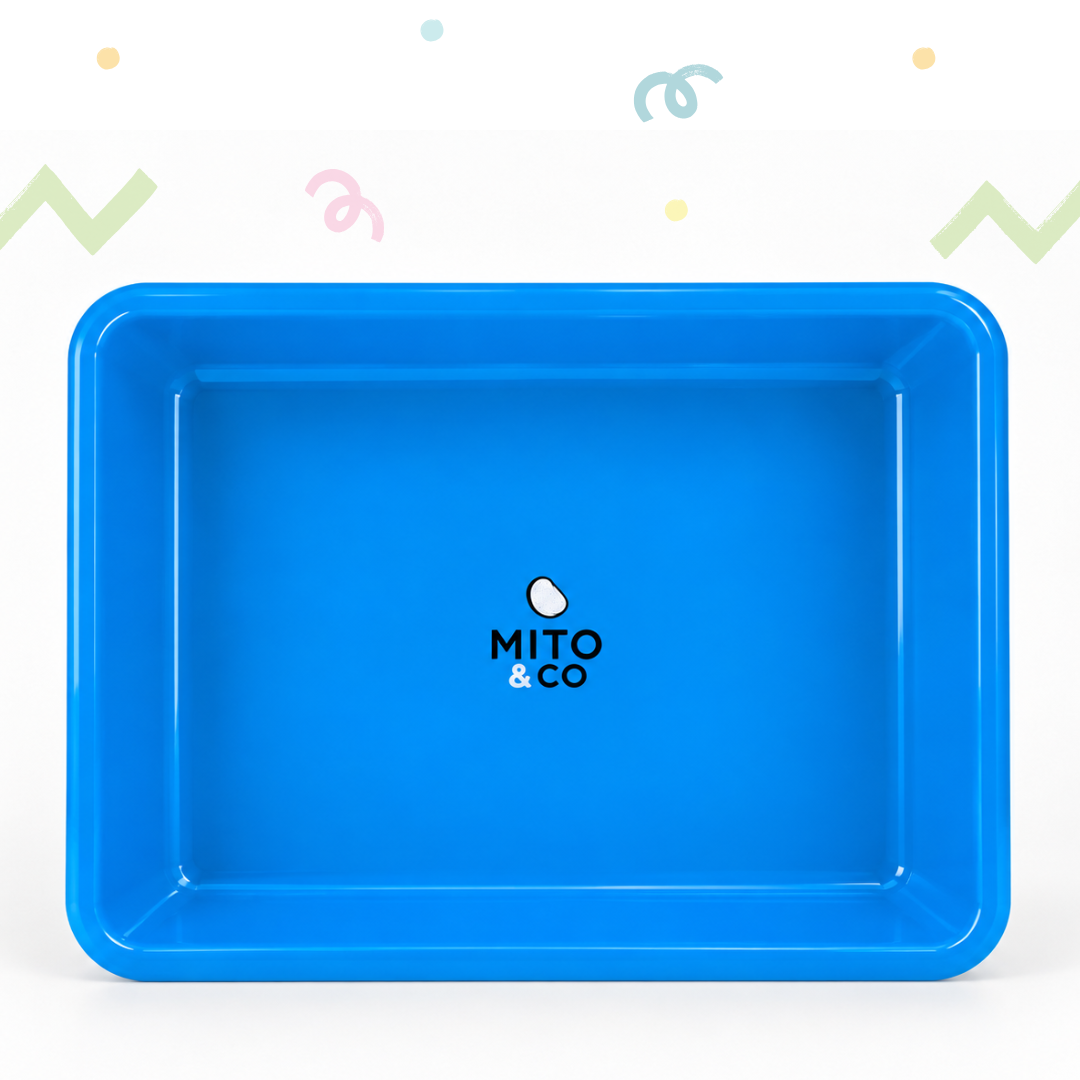 Experiment Activity Tray