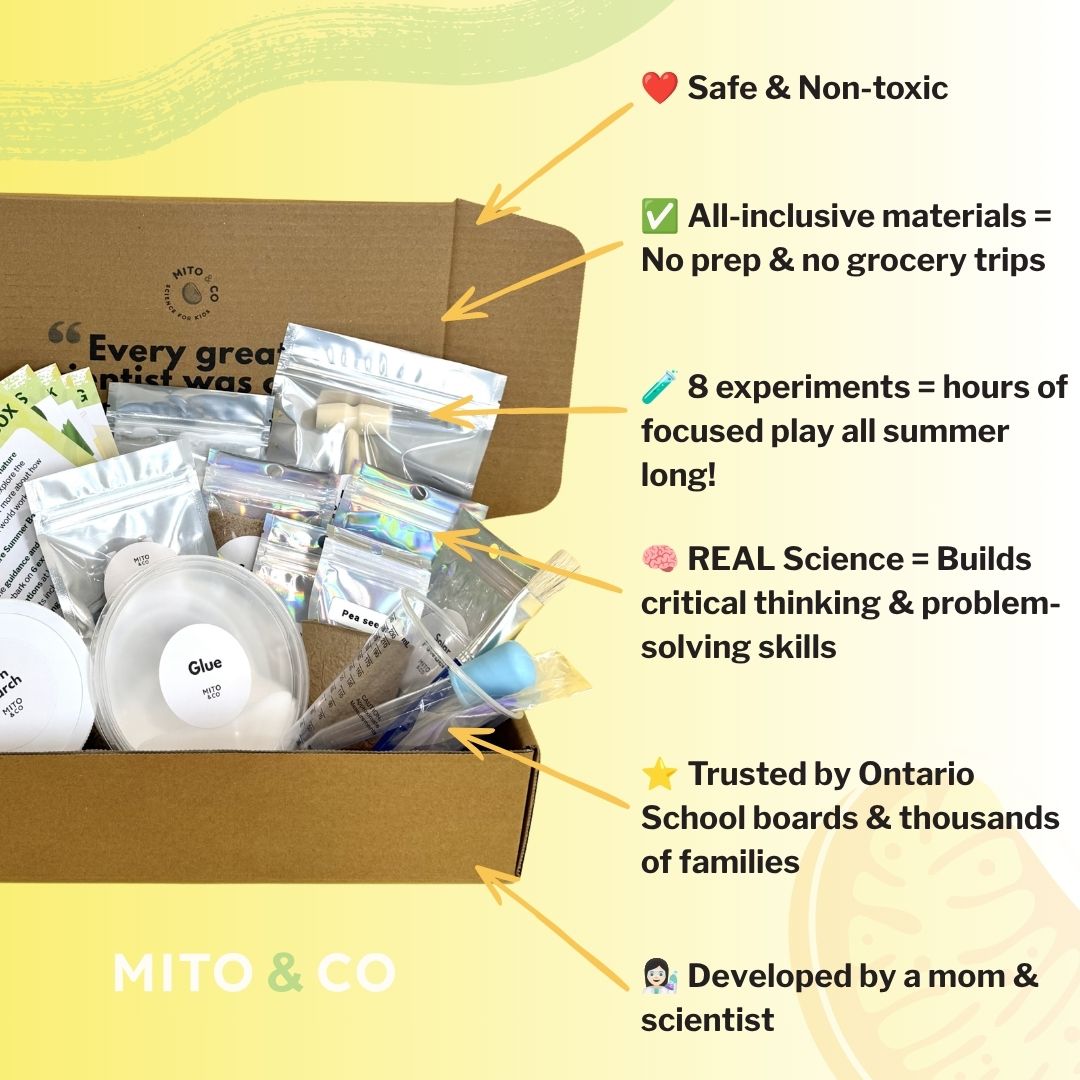 MITO Summer (Limited Edition)