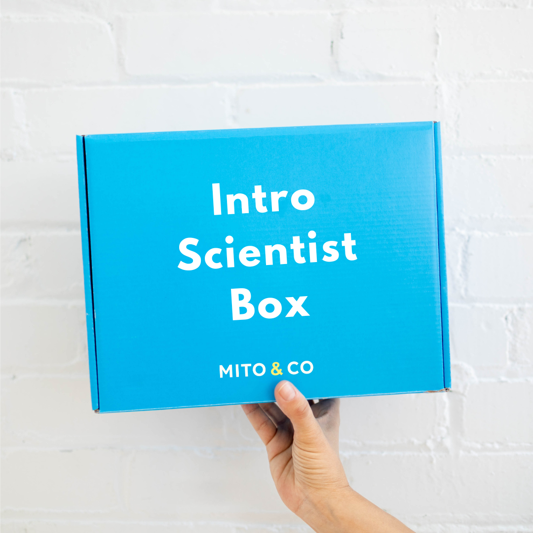 The Intro Scientist Box (Toddler Approved)