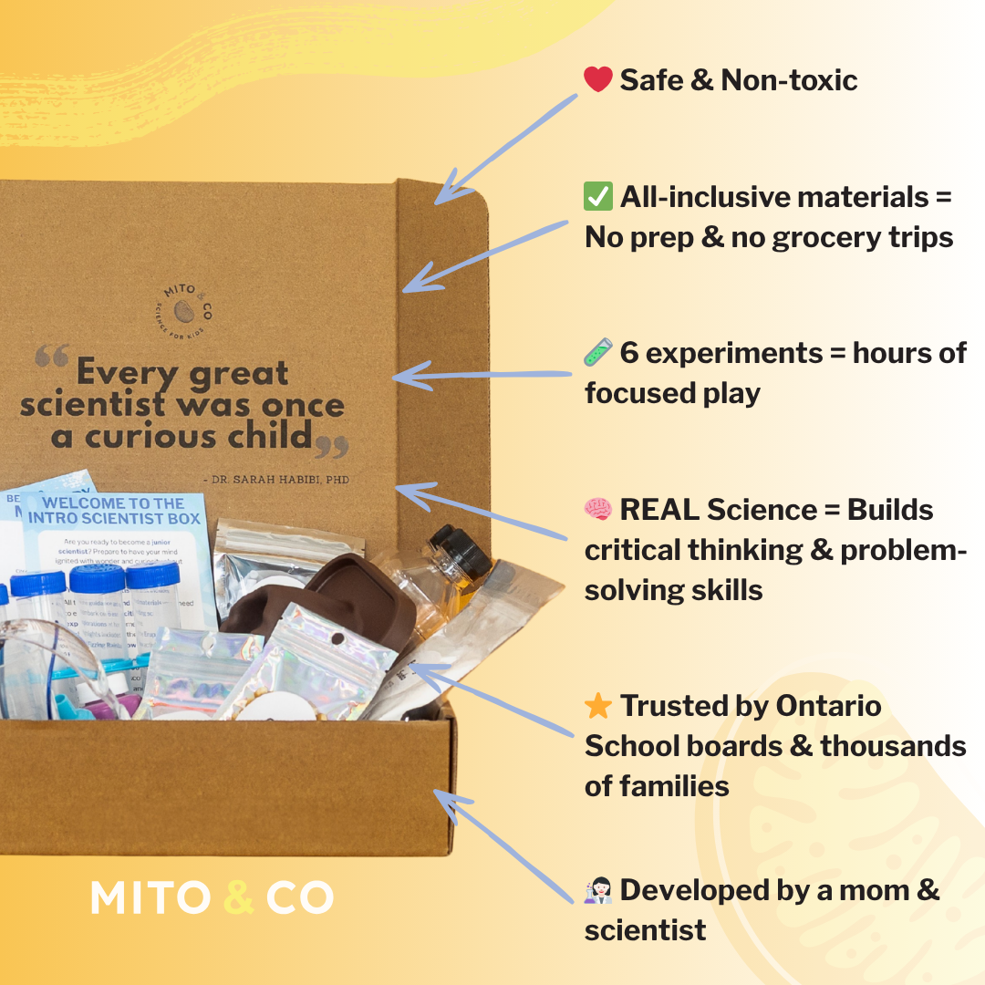 MITO Intro Scientist (Perfect for beginners)