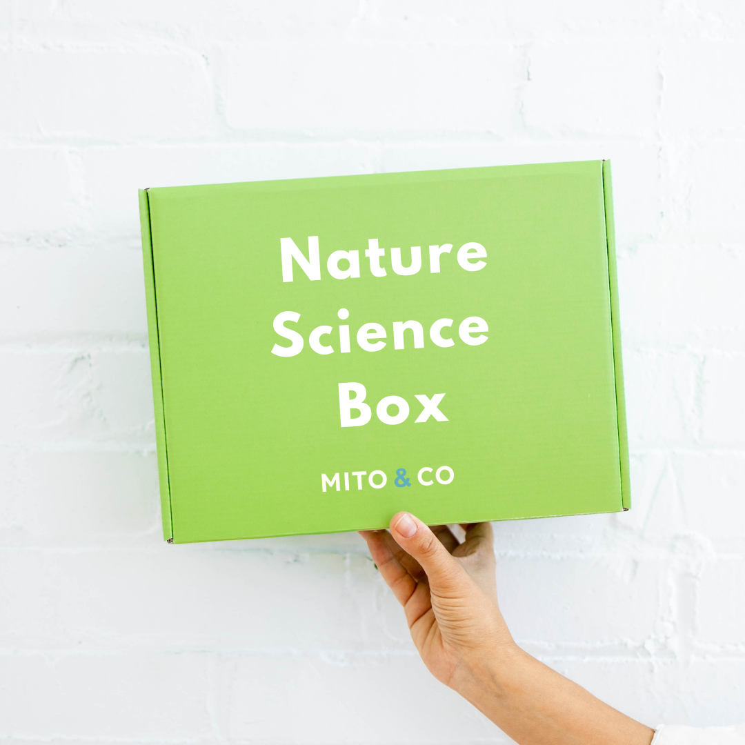 The Nature Science Box (Chemistry & Nature lovers)