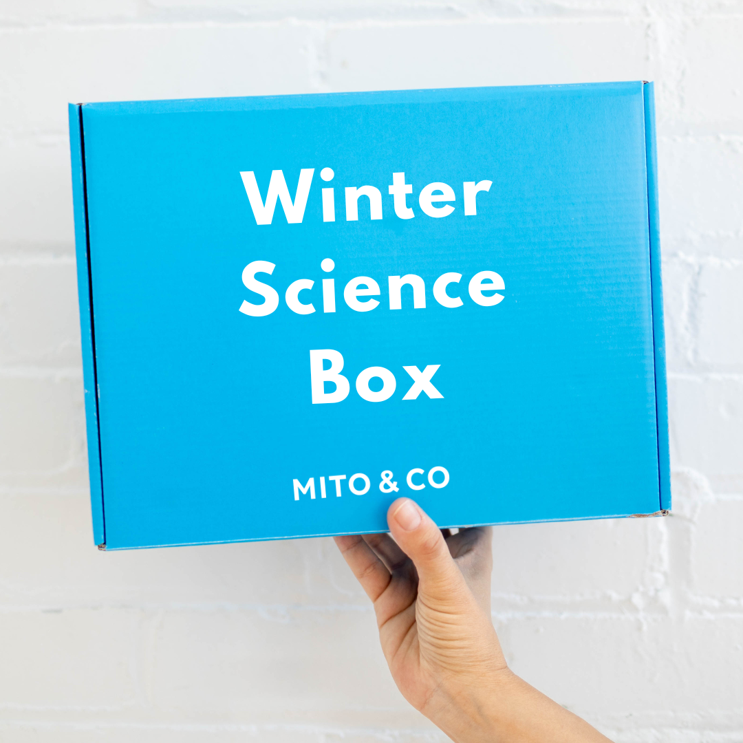 The Winter Science Box (Holiday Special)