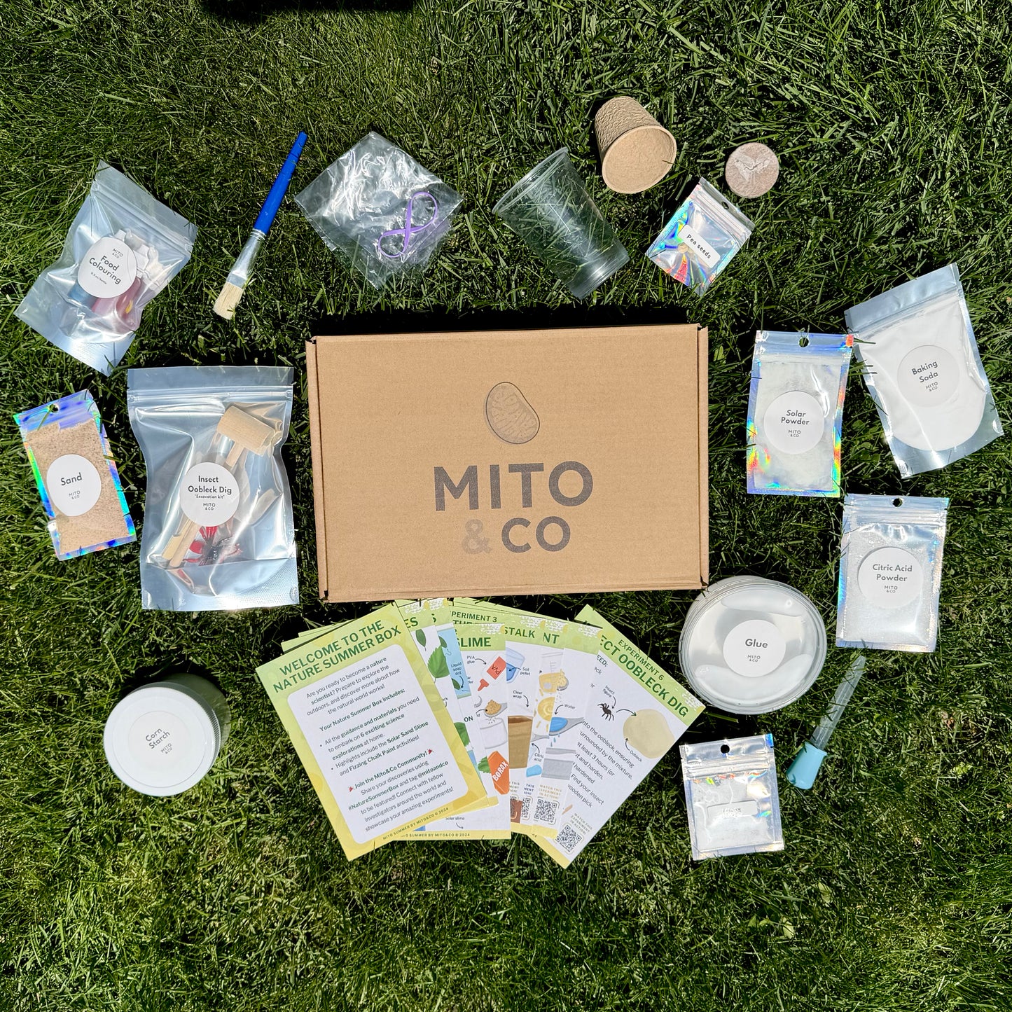 MITO Summer (Limited Edition)