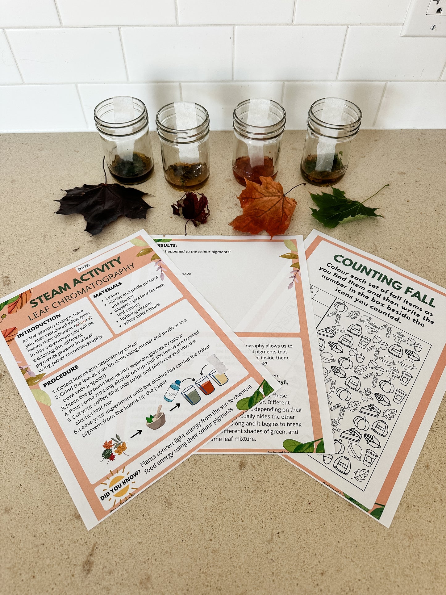 Fall STEM Activity Bundle