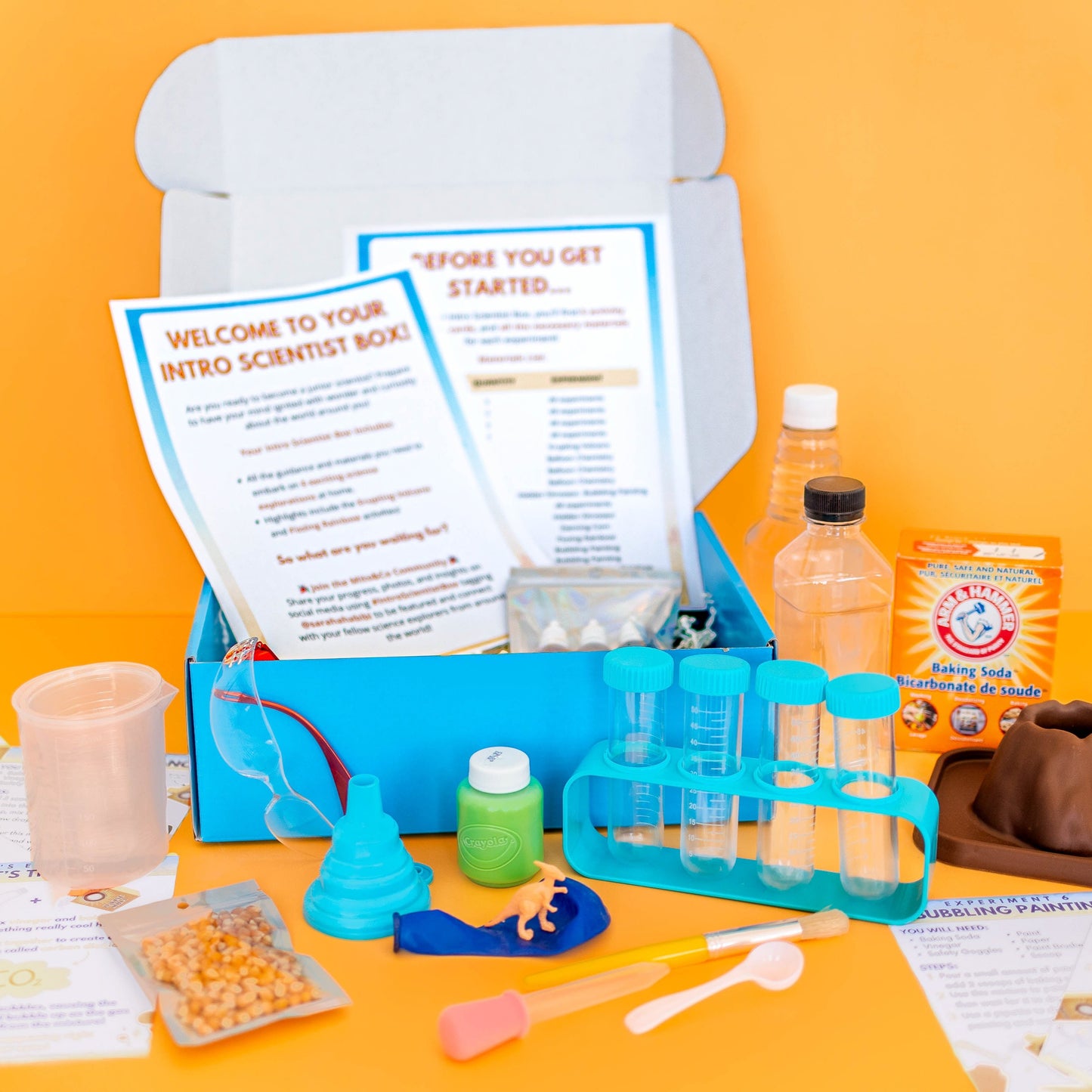 The Intro Scientist Box (Toddler Approved)